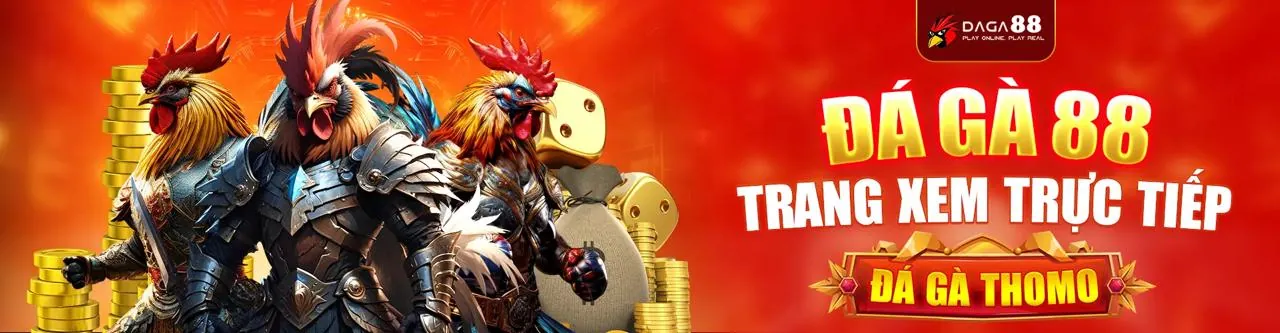 Sân đấu gà trực tuyến sôi động tại Link OKVIP